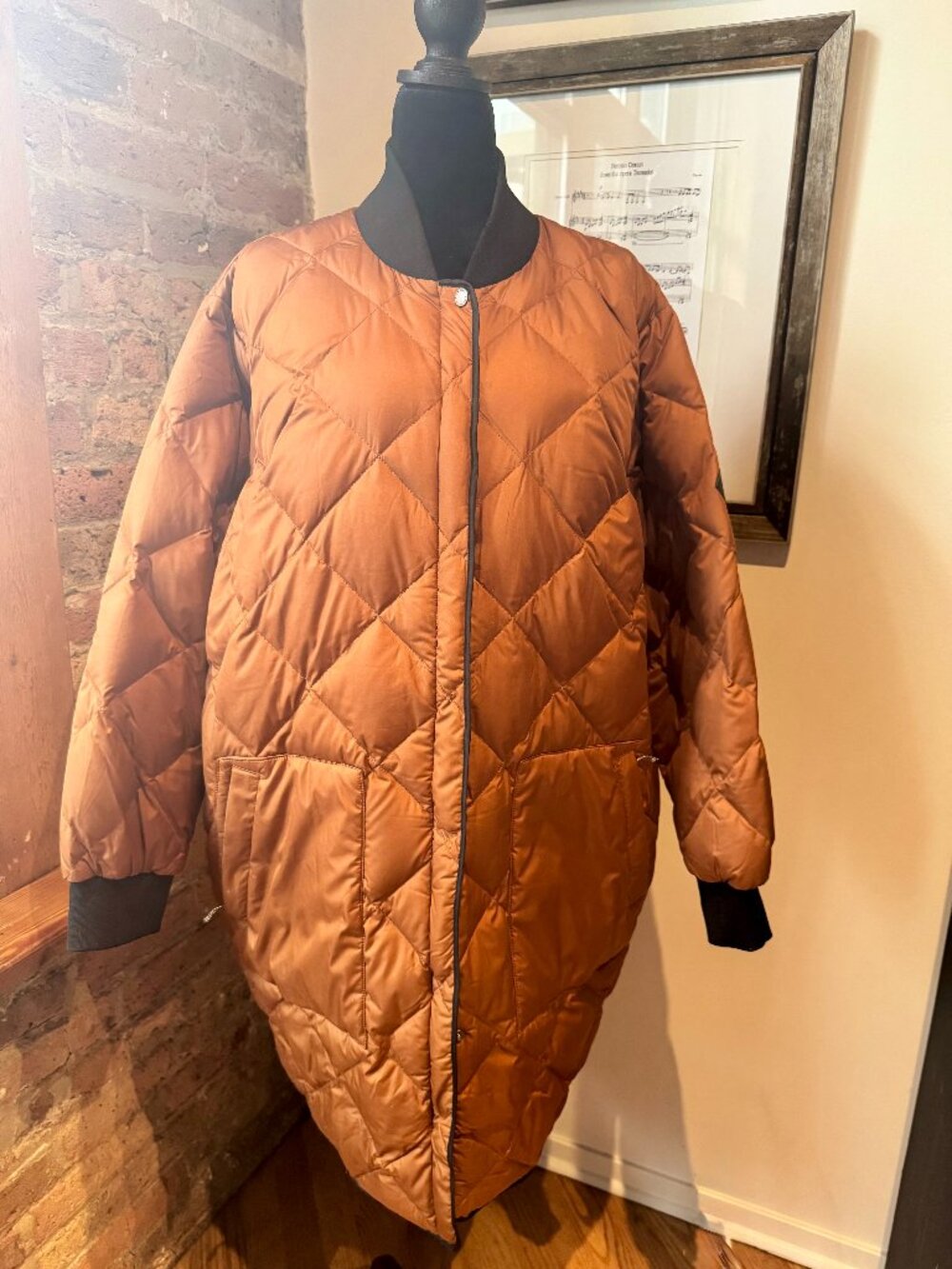Eddie Bauer Women's 2020 Skyliner Model Down Parka